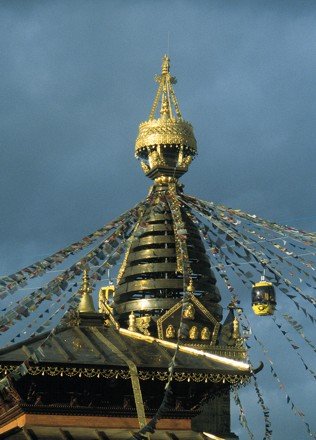 a_grass_westgelaende_10_20140604_1090234837