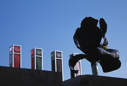 a_grass_vae__14_20140604_1744244222