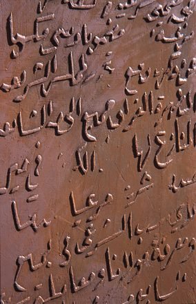 a_grass_vae__15_20140604_1313178502