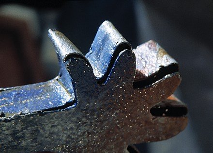 a_grass_vae__16_20140604_1607367439