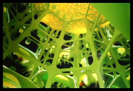 falk_schuch_album_1_4_20140605_1893102607