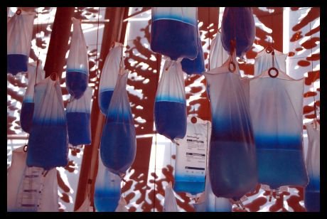 falk_schuch_album_1_7_20140605_1892913703