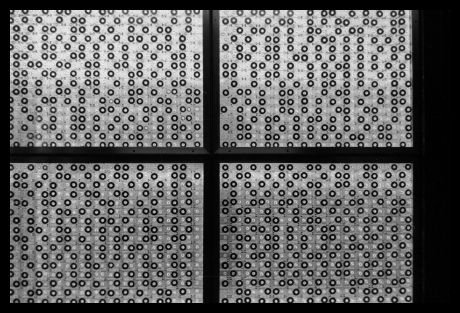 falk_schuch_album_2_11_20140605_2092048511