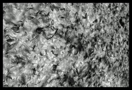 falk_schuch_album_2_12_20140605_1603737238