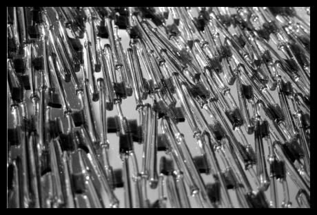 falk_schuch_album_2_14_20140605_1987324135