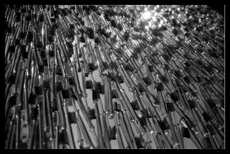 falk_schuch_album_2_15_20140605_1274113874