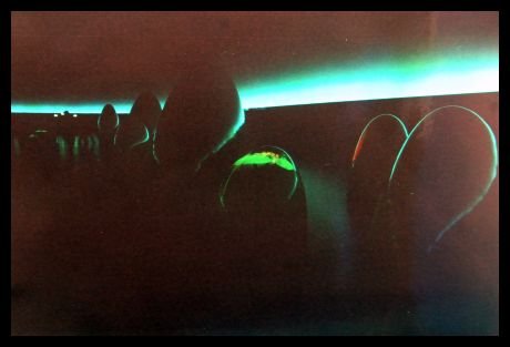 falk_schuch_album_3_11_20140605_1281386329